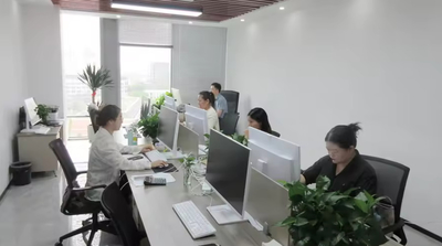 Shanghai Apying Technology Co., Ltd.